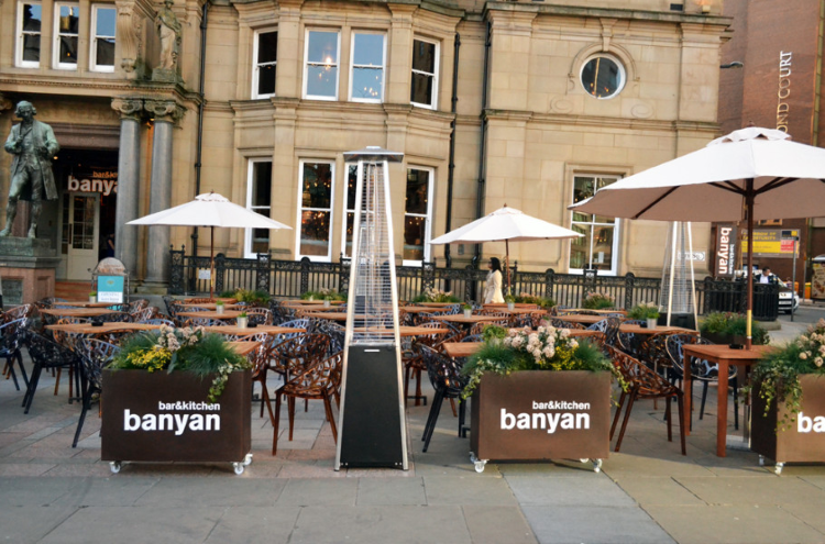 Banyan